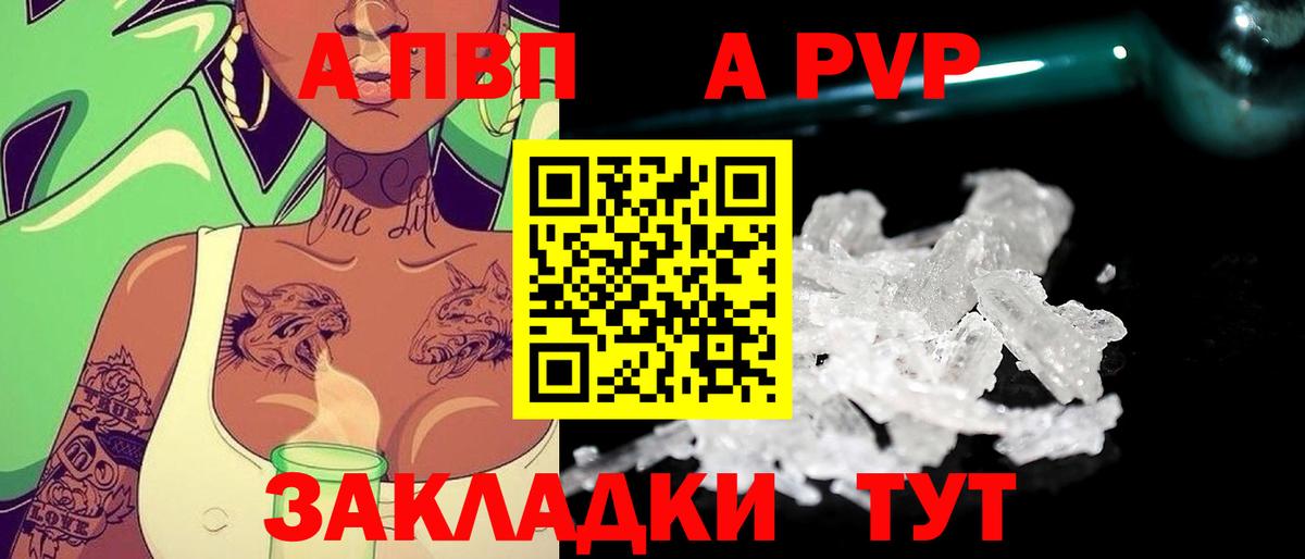 Альфа ПВП СК КРИС Курчалой